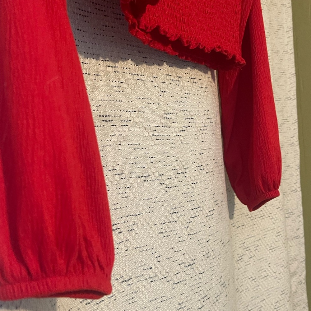 Red Crop Top - Picture 3 of 4
